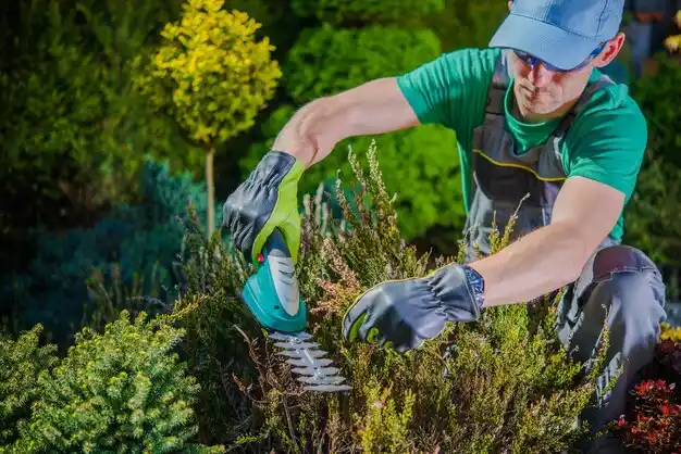 landscaping services McCool Junction